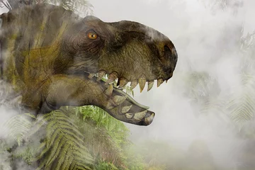 Crédence de cuisine en verre imprimé Dinosaures Tyrannosaurus Rex in the misty Jungle