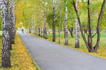 Autumn park