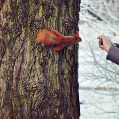 Ты сними, сними меня фотограф