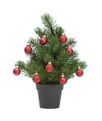 christmas tree in pot isolated red spheres