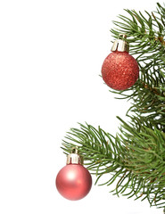 Naklejka na ściany i meble Christmas red balls on green spruce branch