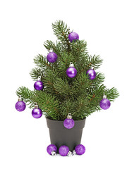 christmas tree in a pot isolated on white, lilac spheres