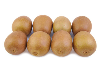 Two rows of fresh and ripe kiwis on white background