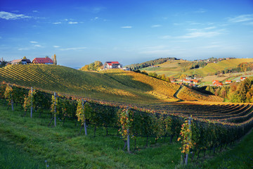 Weinberge in der Steiermark
