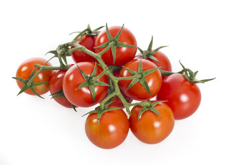 tomatoes isolated