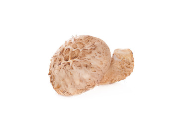 Shiitake mushroom on the White background