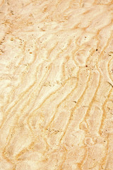 sand in the beach abstract thailand kho pink
