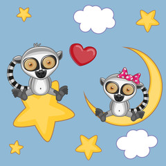 Fototapeta premium Lovers Lemurs