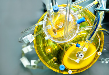 Plastic medical lines for blood recuperation