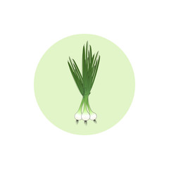 Icon green onion,vector illustration