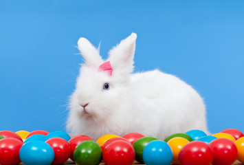 Fluffy white rabbit with pink bow guarding colorful eggs