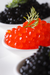 red and black caviar in spoon macro. vertical