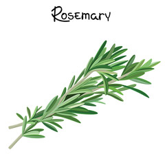 Rosemary sprigs