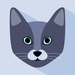 British cat, flat design, icon, vector