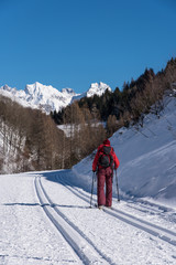 Fototapeta na wymiar Langläufer mit verschneiten Bergen im Hintergrund