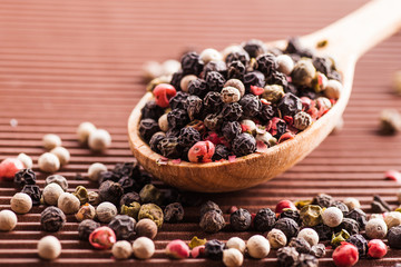 spice assorted pepper in a wooden spoon