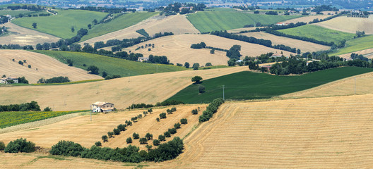 Summer landscape in Marches (Italy)