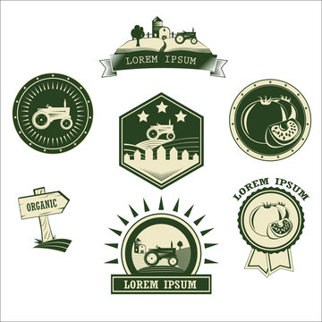 Set of retro vintage farm fresh labels, badges and design
