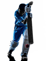 Cricket player  batsman silhouette © snaptitude