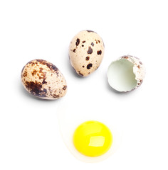 Fototapeta premium quail eggs