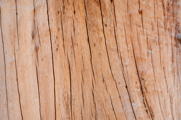 Knot wood Background