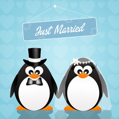 Wedding of penguins