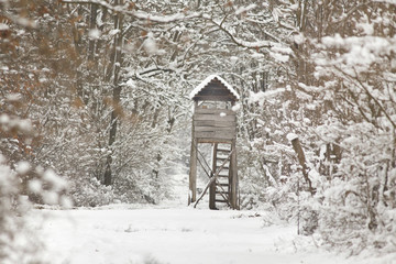 Hunting tower on snow