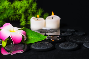 Fototapeta na wymiar green leaf calla lily, plumeria with drops and candles on zen st