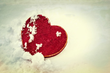 Cold love