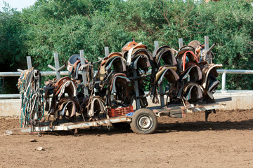cart with saddles