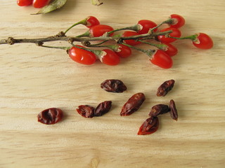 Frische und getrocknete Gojibeeren