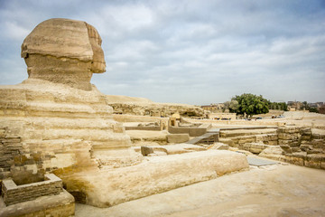 The Sphinx looking out towards Giza, Egypt