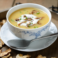 Waldpilzsuppe