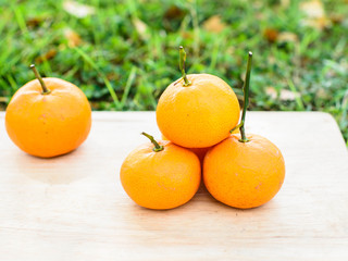 Orange on wooden board with grass outdoor.