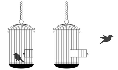 Gabbie con uccellini