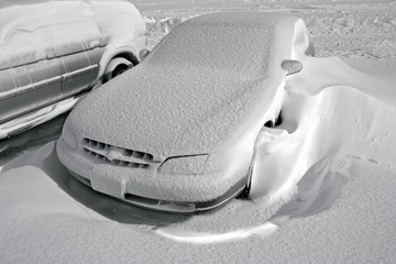 vehicles covered with snow