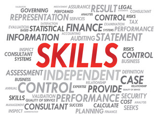 SKILLS word cloud, business concept