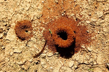 sandloch, Mungo National Park, New South Wales, Australia