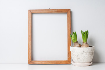 frame and plants