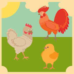 Rooster and chickens