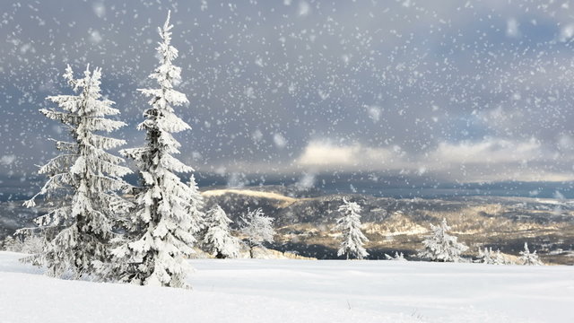 Winter in Norway Snowing in Telemark