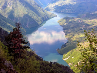 Tara mountain in Serbia