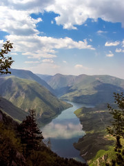 Tara mountain in Serbia