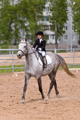 Fototapeta premium Little girl riding a horse participates in competitions