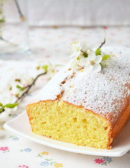 Cupcake with cottage cheese