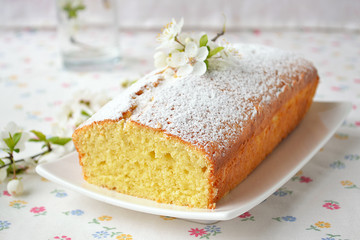 Cupcake with cottage cheese