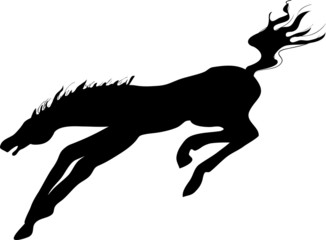 Silhouette of horse