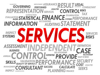 SERVICES word cloud, business concept