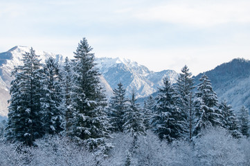 Val Cellina