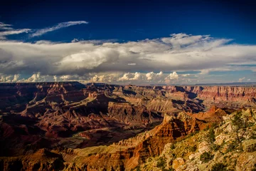 Foto op Canvas Grand Canyon © neo1984